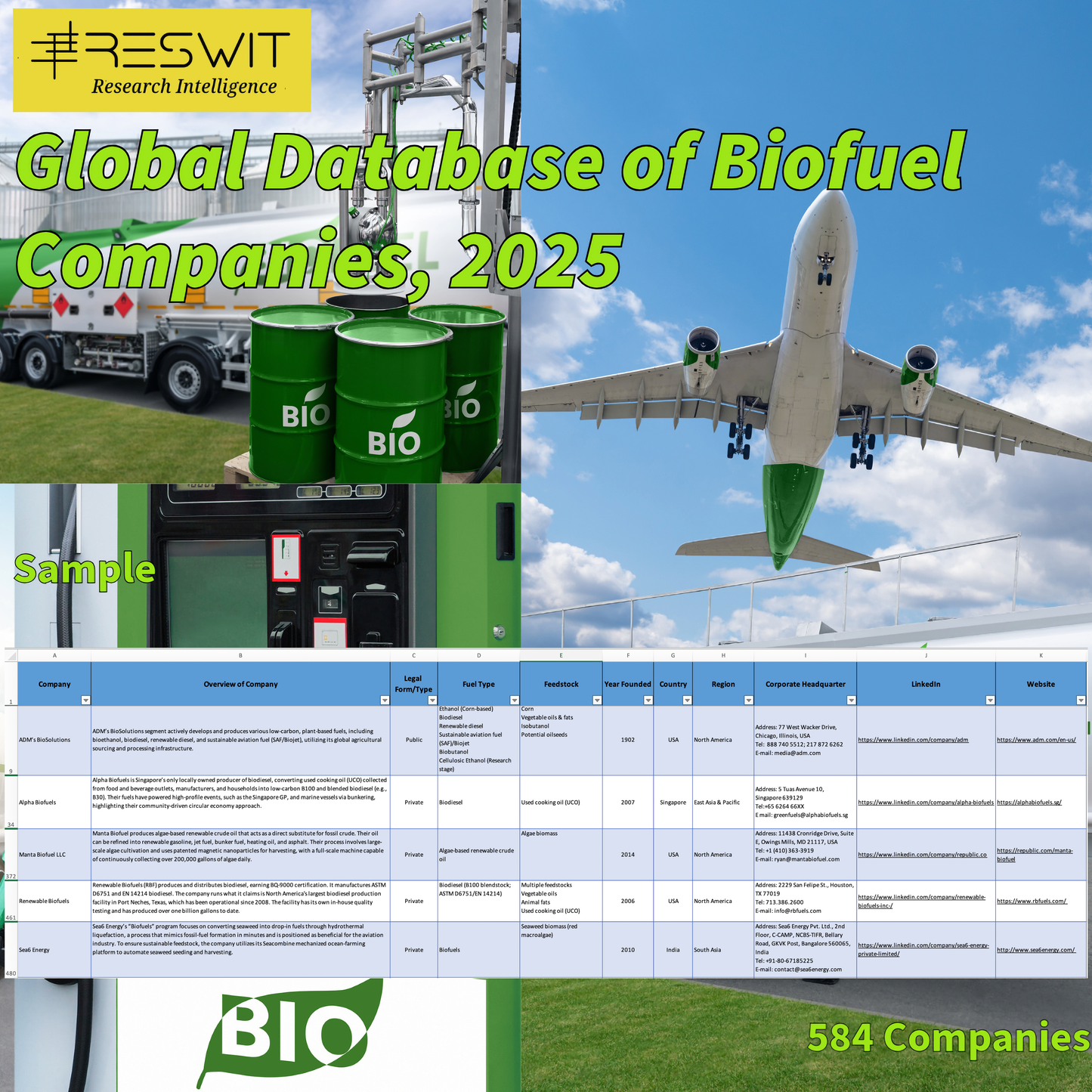 Global Database of Biofuel Companies (2025)
