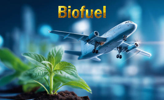 Biofuels: From Feedstock to Fuel