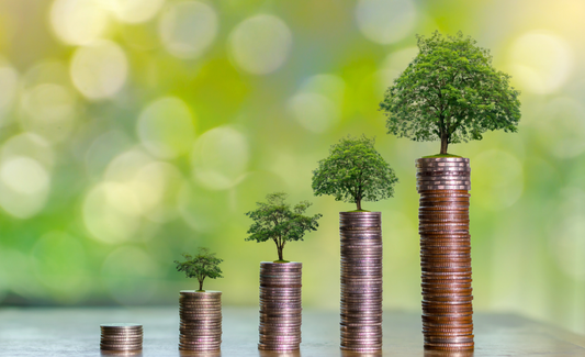 Charting the Future of Cleantech Commercialization: Key Drivers and Emerging Global Trends